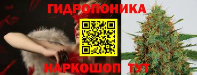 mdpv Лесосибирск